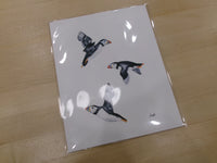 "In this Together" Atlantic Flying Puffins Watercolour Print