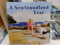 A Newfoundland Year