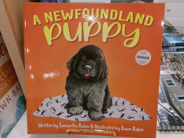 A Newfoundland Puppy