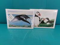 4 Pack Cards