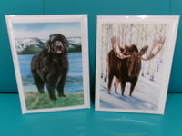 4 Pack Cards