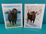4 Pack Cards