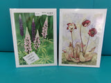 4 Pack Cards