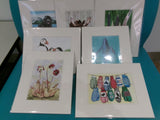 Matted 8x10 Prints