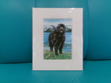 Matted 8x10 Prints