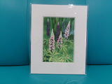 Matted 8x10 Prints