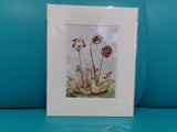 Matted 8x10 Prints