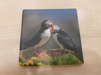 Ceramic Coaster - Puffin Images
