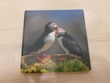 Ceramic Coaster - Puffin Images