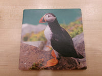 Ceramic Coaster - Puffin Images