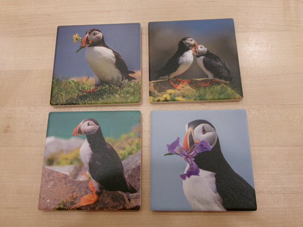 Ceramic Coaster - Puffin Images