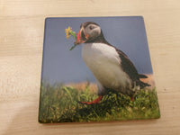Ceramic Coaster - Puffin Images