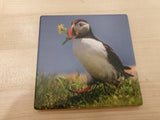 Ceramic Coaster - Puffin Images