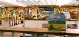 Painter of Flight