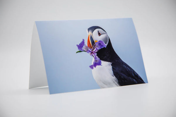 Puffin with Flower