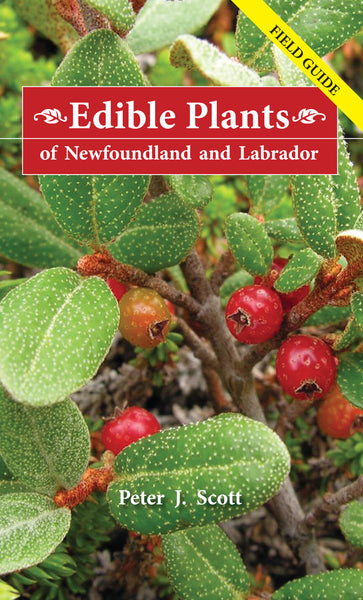 Edible Plants of Newfoundland and Labrador - Peter J. Scott