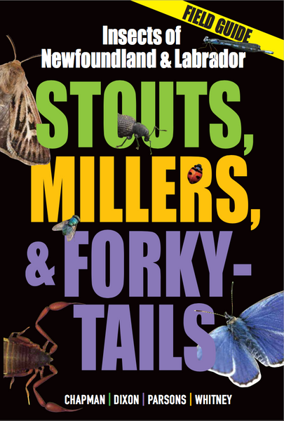 Stouts, Millers and Forky-Tails