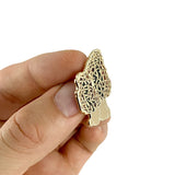 Morel Mushroom Pin